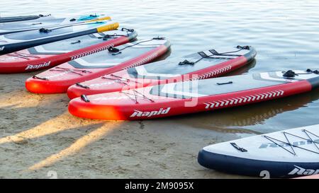 Les panneaux SUP vides oscillent sur les vagues d'une rivière ou d'un lac calme. Sports nautiques. Beaucoup de planches à la boutique de location, le soleil reflétant les ondulations de la Banque D'Images