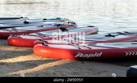 Les panneaux SUP vides oscillent sur les vagues d'une rivière ou d'un lac calme. Sports nautiques. Beaucoup de planches à la boutique de location, le soleil reflétant les ondulations de la Banque D'Images