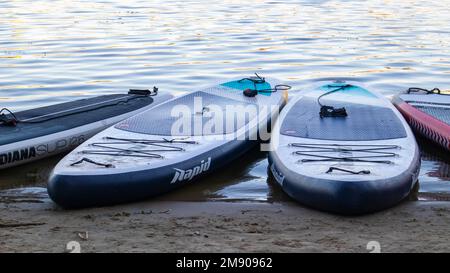 Les panneaux SUP vides oscillent sur les vagues d'une rivière ou d'un lac calme. Sports nautiques. Beaucoup de planches à la boutique de location, le soleil reflétant les ondulations de la Banque D'Images