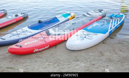 Les panneaux SUP vides oscillent sur les vagues d'une rivière ou d'un lac calme. Sports nautiques. Beaucoup de planches à la boutique de location, le soleil reflétant les ondulations de la Banque D'Images