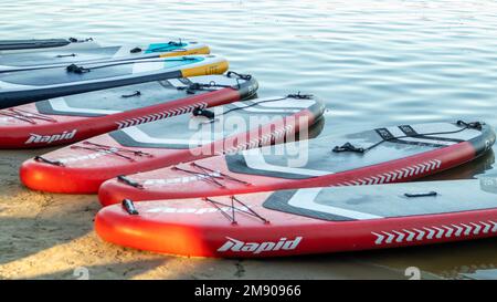 Les panneaux SUP vides oscillent sur les vagues d'une rivière ou d'un lac calme. Sports nautiques. Beaucoup de planches à la boutique de location, le soleil reflétant les ondulations de la Banque D'Images