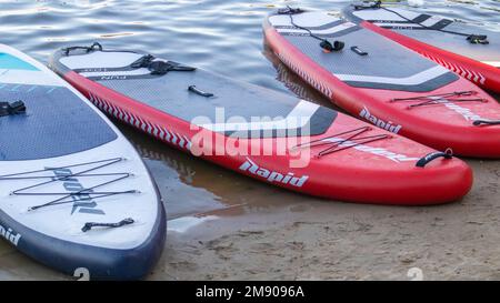 Les panneaux SUP vides oscillent sur les vagues d'une rivière ou d'un lac calme. Sports nautiques. Beaucoup de planches à la boutique de location, le soleil reflétant les ondulations de la Banque D'Images