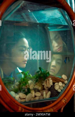 TANG WEI dans LA DÉCISION DE QUITTER (2022) -titre original: HEOJIL KYOLSHIM-, dirigé par PARK CHAN-WOOK. Crédit: Moho films / CJ Entertainment / Album Banque D'Images