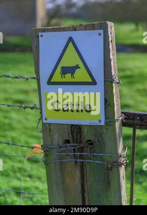 Lincolnshire, Angleterre Royaume-Uni - Un panneau d'avertissement pour les bovins sur un portier sur un sentier de campagne Banque D'Images