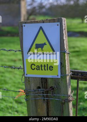 Lincolnshire, Angleterre Royaume-Uni - Un panneau d'avertissement pour les bovins sur un portier sur un sentier de campagne Banque D'Images