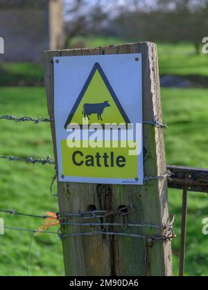 Lincolnshire, Angleterre Royaume-Uni - Un panneau d'avertissement pour les bovins sur un portier sur un sentier de campagne Banque D'Images