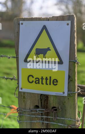 Lincolnshire, Angleterre Royaume-Uni - Un panneau d'avertissement pour les bovins sur un portier sur un sentier de campagne Banque D'Images