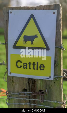 Lincolnshire, Angleterre Royaume-Uni - Un panneau d'avertissement pour les bovins sur un portier sur un sentier de campagne Banque D'Images