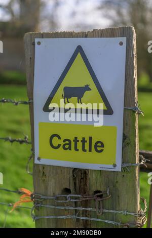 Lincolnshire, Angleterre Royaume-Uni - Un panneau d'avertissement pour les bovins sur un portier sur un sentier de campagne Banque D'Images