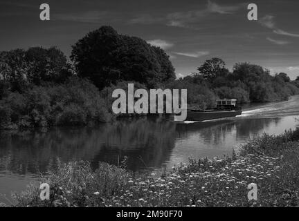 Une barge en activité qui transporte des granulats lors d'un voyage de trois kilomètres le long de la rivière Severn de Ripple à Upton upon Severn, Worcestershire Angleterre Royaume-Uni. Juin 202 Banque D'Images