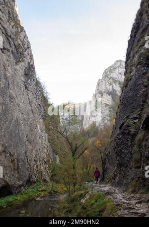 Paysage des gorges de Turda - Roumanie, canyon Banque D'Images