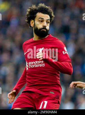 Match Brighton / Liverpool Premiership à l'Amex 14th janvier 2023 - Mohamed Salah en action pour Liverpool Banque D'Images