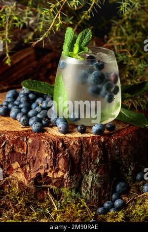 Cocktail de gin et de tonique aux myrtilles et à la menthe. Arrière-plan naturel avec brindilles Juniper. Banque D'Images