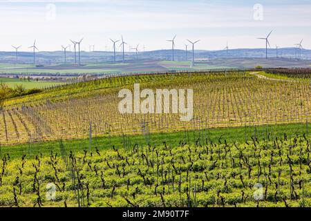 D'innombrables éoliennes d'un parc éolien onshore coexistent à côté de champs et de vignobles en Rhénanie-Palatinat Banque D'Images