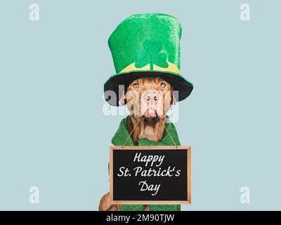 Un chiot et un chapeau de lepretchun vert vif Banque D'Images