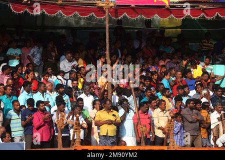 Madurai, Tamil Nadu, Inde. 16th janvier 2023. Les gens regardent le festival annuel traditionnel de taureaux ''Jallikattu'' dans le village de Palamedu à la périphérie de Madurai à Tamilnadu. Jallikattu est un sport traditionnel de taureau tamoul qui a lieu pendant Pongal, un festival de récolte dans l'État indien de Tamil Nadu. (Credit image: © Sri Loganathan/ZUMA Press Wire) USAGE ÉDITORIAL SEULEMENT! Non destiné À un usage commercial ! Crédit : ZUMA Press, Inc./Alay Live News Banque D'Images