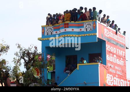 Madurai, Tamil Nadu, Inde. 16th janvier 2023. Les gens regardent le festival annuel traditionnel de taureaux ''Jallikattu'' dans le village de Palamedu à la périphérie de Madurai à Tamilnadu. Jallikattu est un sport traditionnel de taureau tamoul qui a lieu pendant Pongal, un festival de récolte dans l'État indien de Tamil Nadu. (Credit image: © Sri Loganathan/ZUMA Press Wire) USAGE ÉDITORIAL SEULEMENT! Non destiné À un usage commercial ! Crédit : ZUMA Press, Inc./Alay Live News Banque D'Images