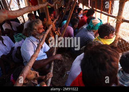 Madurai, Tamil Nadu, Inde. 16th janvier 2023. Les gens regardent le festival annuel traditionnel de taureaux ''Jallikattu'' dans le village de Palamedu à la périphérie de Madurai à Tamilnadu. Jallikattu est un sport traditionnel de taureau tamoul qui a lieu pendant Pongal, un festival de récolte dans l'État indien de Tamil Nadu. (Credit image: © Sri Loganathan/ZUMA Press Wire) USAGE ÉDITORIAL SEULEMENT! Non destiné À un usage commercial ! Crédit : ZUMA Press, Inc./Alay Live News Banque D'Images