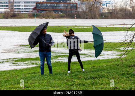 Montée du niveau de l'eau sur le Rhin à Düsseldorf, plus pluie et temps orageux, père et fille sur les rives du Rhin Banque D'Images