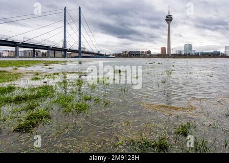 Élévation du niveau de l'eau sur le Rhin à Düsseldorf, plus temps de pluie et de tempête, vue sur le Rheinkniebrücke, la vieille ville, le Parlement d'État, Rheinturm Banque D'Images