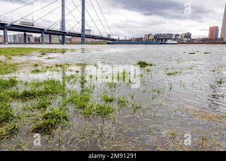 Élévation du niveau de l'eau sur le Rhin à Düsseldorf, plus temps de pluie et de tempête, vue sur le Rheinkniebrücke, la vieille ville, le Parlement de l'État Banque D'Images