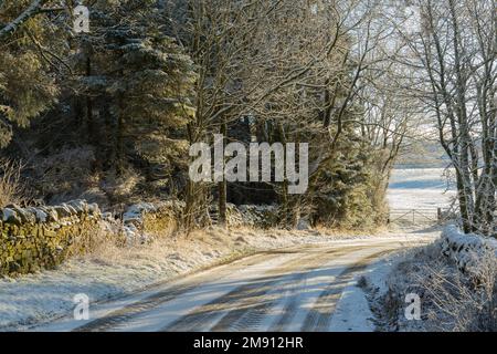 Route rurale enneigée à Northumberland, Royaume-Uni Banque D'Images