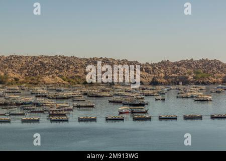 Divers bateaux dans le Nil près d'Assouan, Egypte Banque D'Images