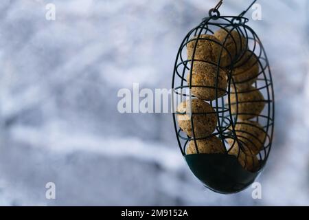 Un gros mangeoire à oiseaux en forme de boule à l'extérieur par une journée d'hiver. Arrière-plan blanc avec espace de copie Banque D'Images