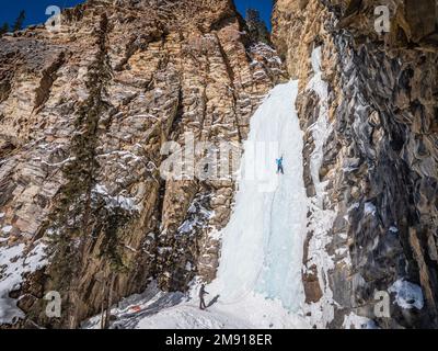 Brandon Prince escalade un itinéraire appelé Kerkeslin Falls WI3 sur la promenade Icefield Banque D'Images