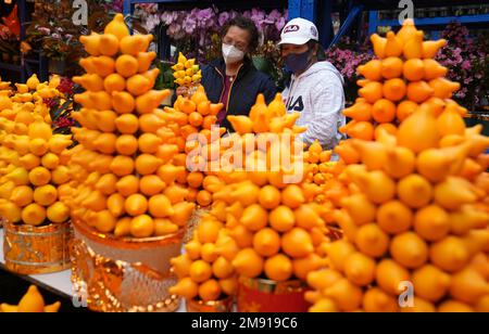 Les gens magasinent des FRUITS DE MAMELON festifs dans le marché aux fleurs de Prince Edward, tandis que le nouvel an lunaire est à proximité. 09JAN23 SCMP / Sam Tsang Banque D'Images