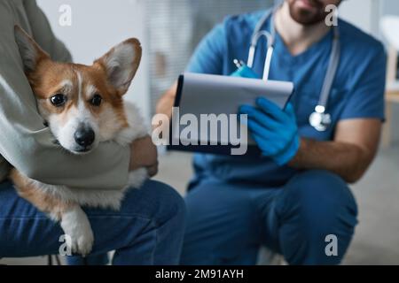 Focus sur les malades gallois pembroke corgi chien tenu par une jeune femme propriétaire en vêtements décontractés assis devant le vétérinaire médecin de prendre des notes dans le document Banque D'Images