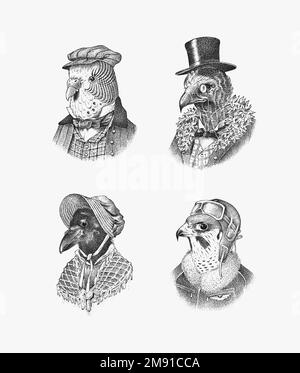 Oiseau personnage dans un chapeau et un costume. Crow Parrot Vulture, faucon pèlerin. L'homme en costume. Aristocrate à la mode. Oiseau dessiné à la main. Gravé ancien Illustration de Vecteur