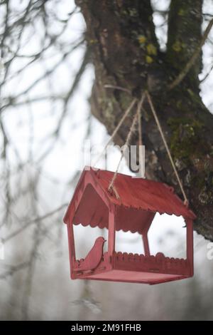 Gros plan d'un mangeoire à oiseaux sur un arbre sous la neige dans la forêt. Banque D'Images