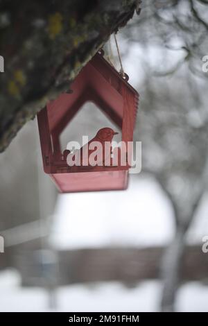 Gros plan d'un mangeoire à oiseaux sur un arbre sous la neige dans la forêt. Banque D'Images