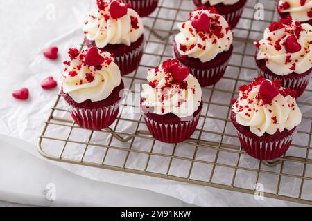 Cupcakes en velours rouge sur une grille de refroidissement Banque D'Images