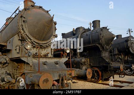 Des locomotives à vapeur anciennes sont exposées autour d'une plaque tournante, au Musée du chemin de fer hongrois, Budapest, Hongrie Banque D'Images