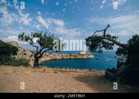 paysage marin avec pin et cap Kapchik Crimée en été Banque D'Images