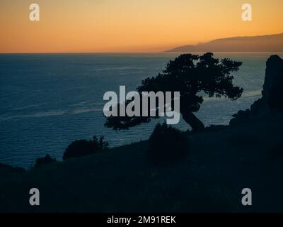 paysage avec silhouette de pins sur le bord d'une montagne surplombant la mer au coucher du soleil orange Banque D'Images