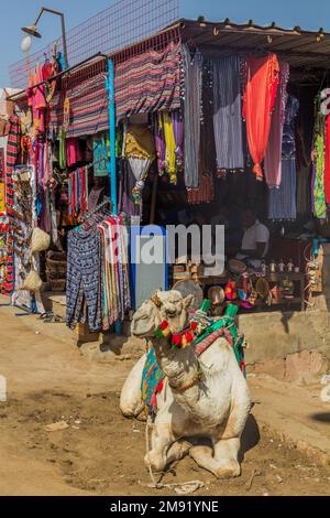 ASSOUAN, EGYPTE: 22 FÉVR. 2019: Chameau au marché dans le village nubien Gharb Seheil, Egypte Banque D'Images