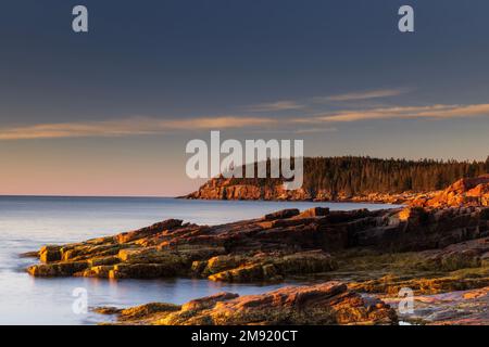 Otter point au lever du soleil dans le parc national Acadia, Maine Banque D'Images