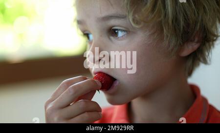 Un enfant blond qui mange de la fraise, un enfant pensif mange des fruits Banque D'Images