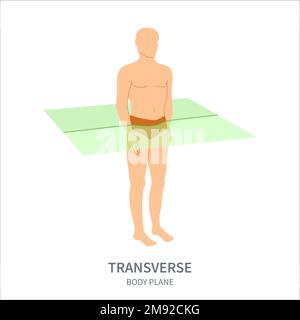 Plan de balayage transversal pour le diagramme de position d'orientation de la sonde axiale Illustration de Vecteur