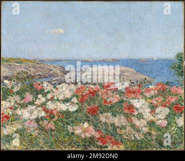 Coquelicots sur les îles de Shoals Frederick Childe Hassam (américain, 1859-1935). Coquelicots sur les îles de Shoals, 1890. Huile sur toile, châssis : 25 3/4 x 29 5/8 x 4 in. (65,4 x 75,2 x 10,2 cm). Tout au long de sa carrière, Frederick Childe Hassam a fait plusieurs voyages prolongés en Europe, où il a été inspiré par les sites et les nombreux artistes qu'il y a rencontrés. A Back Road, achevé l'année suivant sa première tournée européenne, démontre une audace compositionnelle et une liberté de travaux de brushwork qui étaient encore inhabituelles dans l'art américain de cette période. Influencé par le travail de l'école française de Barbizon du XIXe siècle, Ha Banque D'Images
