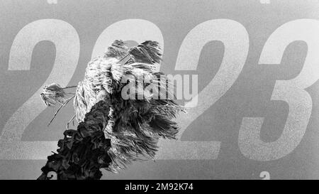 Prise de vue en niveaux de gris à faible angle d'un palmier avec un arrière-plan d'un chiffre d'illustration 2023 Banque D'Images