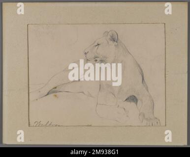 Assis Lioness (recto) et Chef de Sleeping Lion (verso) Philip H. Wolfrom (américain, 1870-1904). Lioness assis (recto) et Chef de Lion endormi (verso), s.d. Graphite sur papier apposé sur le tapis de fenêtre, feuille : 5 1/2 x 8 15/16 po. (14 x 22,7 cm). Art américain n.d. Banque D'Images