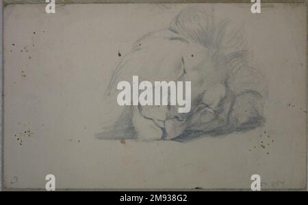 Assis Lioness (recto) et Chef de Sleeping Lion (verso) Philip H. Wolfrom (américain, 1870-1904). Lioness assis (recto) et Chef de Lion endormi (verso), s.d. Graphite sur papier apposé sur le tapis de fenêtre, feuille : 5 1/2 x 8 15/16 po. (14 x 22,7 cm). Art américain n.d. Banque D'Images