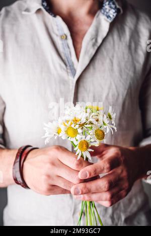 Chemise homme en lin tenant les fleurs camomille fraîchement cueillies entre les mains Banque D'Images