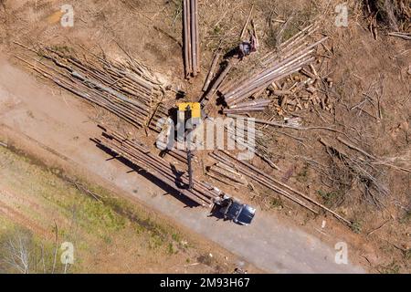 L'opérateur de grue charge les grumes transportées vers un gros camion depuis des arbres en bois nouvellement abattus Banque D'Images