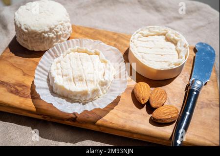 Fromages français Rocamadour et Saint-Marcellin servis sur une planche en bois d'olivier avec des amandes sur des lampes solaires Banque D'Images