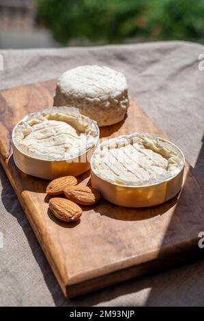 Fromages français Rocamadour et Saint-Marcellin servis sur une planche en bois d'olivier avec des amandes sur des lampes solaires Banque D'Images